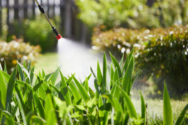 Tamper-Resistant Bait Stations for Rodents in Rose Hills