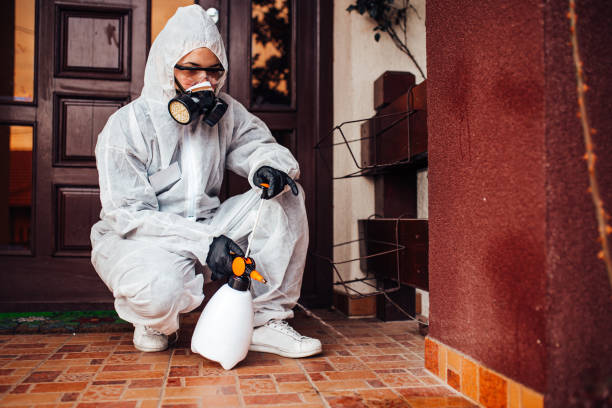 Attic and Crawl Space Rodent Treatment in Rose Hills